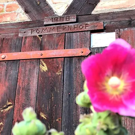 Pommernhof Am Stettiner Haff * Warsin