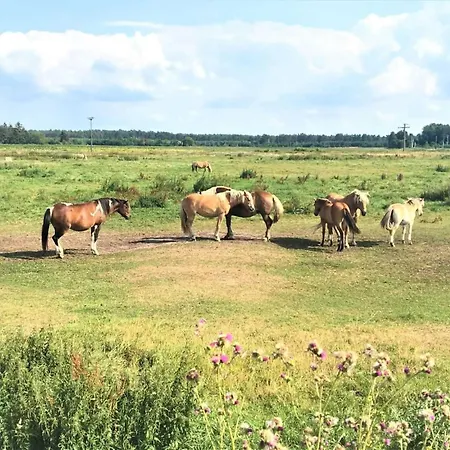 Pommernhof Am Stettiner Haff *