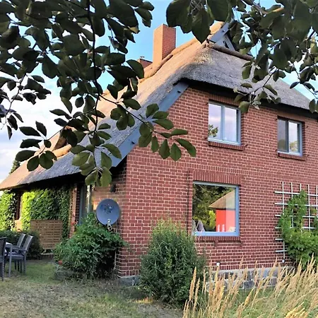 Holiday home Pommernhof Am Stettiner Haff Warsin